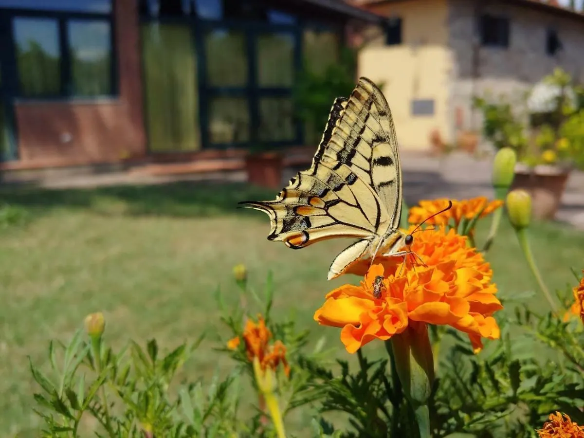 La Fattoressa Florence Farm stay